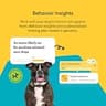 Embark Breed & Health Dog DNA Test - Comprehensive 270+ Health Condition Screening