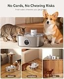 FEELNEEDY Cordless 5000mAh Battery-Operated Stainless Steel Pet Fountain