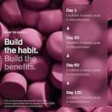 Timeline Mitopure Urolithin A Supplement Gummies, Vegan and Sugar-Free