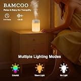 BAMCOO Portable Small Humidifier, 650ml Capacity with Rechargeable Battery