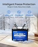 DC HOUSE 12V 100Ah LiFePO4 Trolling Motor Lithium Battery, BCI Group 24