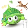 GUKCO Interactive Motorized Plush Turtle Dog Toy with Voice Recording Mode