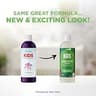 Maple Holistics Kids Cleansing Shampoo with Tea Tree Oil and Rosemary