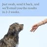 Wisdom Panel Premium Dog DNA Kit - Extensive 265+ Health Test & Diversity Screening