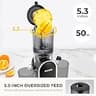 SUSTEAS 300W Cold Press Masticating Juicer with 5.3-Inch Extra-Large Chute