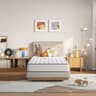 Novilla 6-Inch Twin Hybrid Mattress with Bonnell Springs for Spine Support