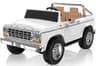 ANPABO Licensed Ford F-150 24V 2-Seater Ride-On Truck with 4WD and 20-Inch Seat