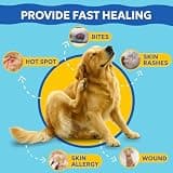 Forticept Dog Wound Care Blue Butter Antimicrobial Gel for Cracked Paws, 3 Oz