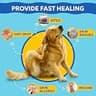Forticept Dog Wound Care Blue Butter Antimicrobial Gel for Cracked Paws, 3 Oz