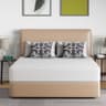 FDW 10 Inch Queen Size Ventilated Gel Memory Foam Mattress with Washable Cover