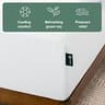 Zinus 12-Inch Green Tea Cooling Memory Foam Mattress with Certified Safe Foams
