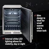 Blaze 24-Inch Outdoor Compact Refrigerator Solid Door Built-In 5.5 Cu Ft