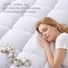 EASELAND Pillow Top Quilted Down Alternative Mattress Pad, Twin XL Size