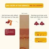 TANSOLARA Premium Glow Tanning Gummies, Vegan and Non-GMO Antioxidant Blend
