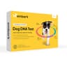 Embark Breed & Health Dog DNA Test - Comprehensive 270+ Health Condition Screening