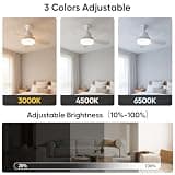 XIGUCUCN 24-Inch Oversized DC Motor Socket Fan Light with 2,500 Lumens