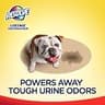 Resolve Urine Destroyer 2X Concentrated Upright Steam Carpet Cleaner Solution