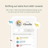Basepaws Dog DNA Testing Kit - Mixed Breed Heritage & Next-Generation Sequencing