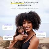 DNA My Dog Essential + Health DNA Test Kit - Breed Identification & Trait Profile