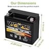 Weize YTX20L-BS Sealed AGM Maintenance-Free High Performance 12V Battery