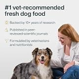 Just Food for Dogs Human-Grade Nutrient Blend for Chicken & Rice Homemade Recipes