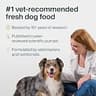 Just Food for Dogs Human-Grade Nutrient Blend for Chicken & Rice Homemade Recipes