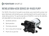 PENTAIR SHURFLO Revolution 4008-101-E65 Automatic Demand By-Pass Pump, 3.0 GPM