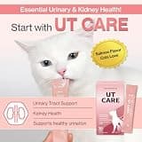 Doctor By UT Care Cat UTI & Kidney Support Lickable Urinary Supplement