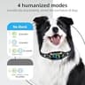FAFAFROG Automatic Dog Bark Collar with Smart Detection and Color Display