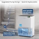 Gasbye Energy Star 75-Pint Dehumidifier with Replaceable Internal Pump