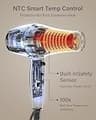 Annlary Professional 1875W Plasma Ionic Hair Dryer with AC Motor System