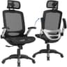 GABRYLLY Ergonomic High-Tension Mesh Office Chair with Flip-Up Armrests
