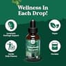Natures Craft Organic Lymphatic Support Drainage Drops, Daily Immune Booster Liquid, 2 oz