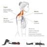 LittleMum Heavy Silicone Trapezius Trigger Point Massager for Neck Pain