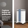 IQAir XE Series GC MultiGas Medical-Grade Air Purifier for Severe VOCs