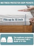 Bedecor Affordable Cotton Terry Waterproof Queen Size Mattress Protector