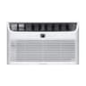 Frigidaire 12,000 BTU 115V Wall Air Conditioner with Built-In Air Ionizer