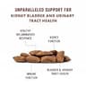 Rocco & Roxie Cat Urinary Tract Health Supplement Chews with Cranberry