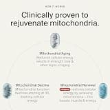 Timeline Mitopure Urolithin A Supplement Softgels, 500mg Clinical Dose