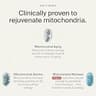 Timeline Mitopure Urolithin A Supplement Softgels, 500mg Clinical Dose