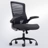 QLTPLUS Ergonomic Office Desk Chair with Molded Foam and Lumbar Support