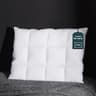 Three Geese Ultra Thin 2.5-Inch Flat Genuine Goose Down Feather Pillow