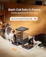 oneisall 5L Dual-Bowl Automatic Cat Food Dispenser for Multi-Pet Homes