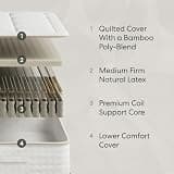 Awara Natural Hybrid 10-Inch Organic Latex and New Zealand Wool Mattress