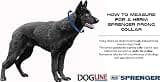 Herm Sprenger Chrome-Plated Steel Prong Dog Training Collar, 16-Inch Length