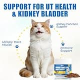 Just Try 300-Count Urinary Tract Health Soft Bites for Cats with Cranberry