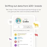 Embark Breed & Health Dog DNA Test - Comprehensive 270+ Health Condition Screening
