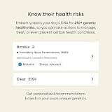 Basepaws Dog DNA Testing Kit - Mixed Breed Heritage & Next-Generation Sequencing