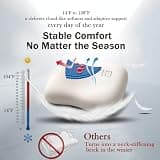 HighBeds BASF Memory Foam Ergonomic Cervical Pillow with Cooling Ice Silk Cover
