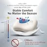 HighBeds BASF Memory Foam Ergonomic Cervical Pillow with Cooling Ice Silk Cover
